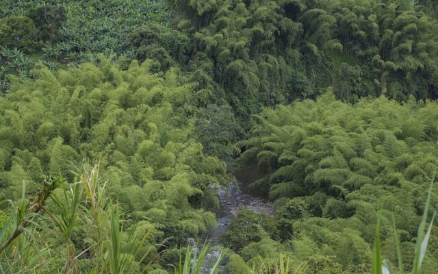 Finca Hotel Los Aperos