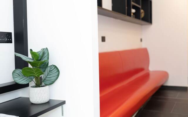 Citizen suites