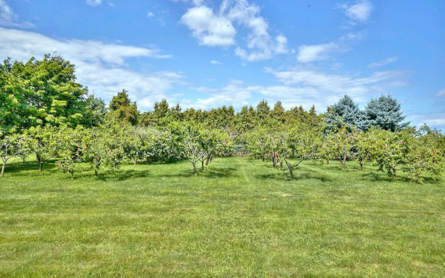 Canadian Grand Executive Villa