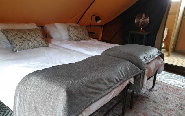 Bundox Explorer Camp