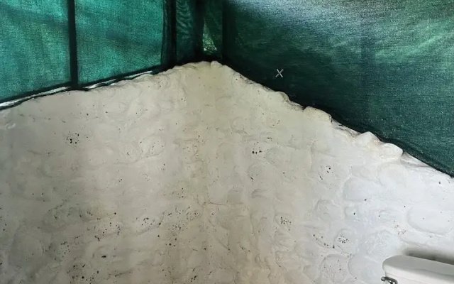 El Cerrito