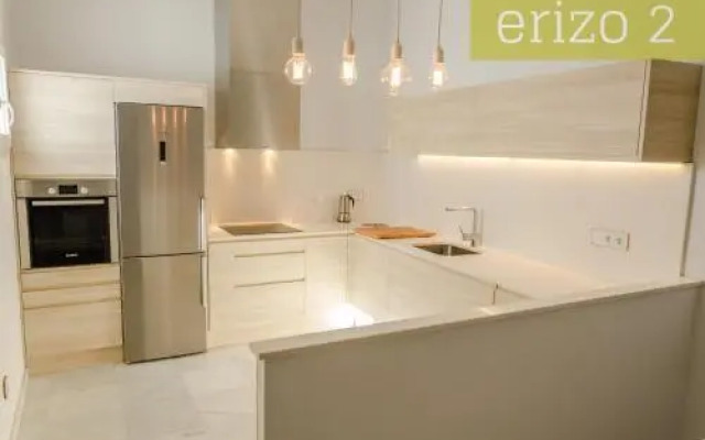 El Erizo Apartamentos