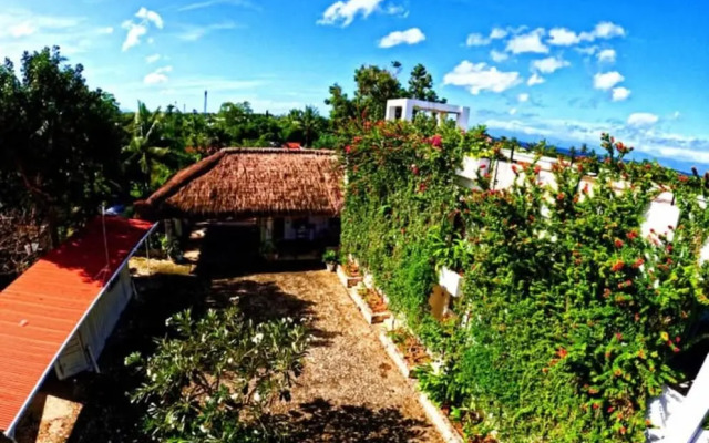 Divers Lodge Plumeria