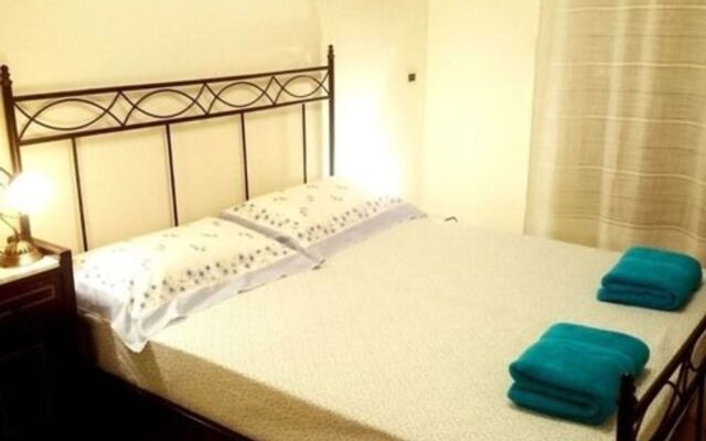 Cohen Hostel
