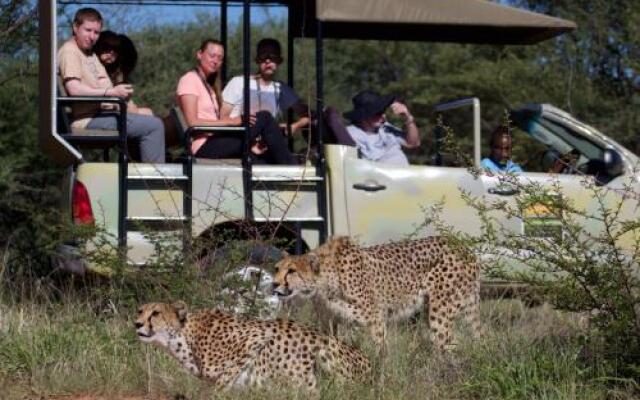 Babson House @ Cheetah Conservation Fund