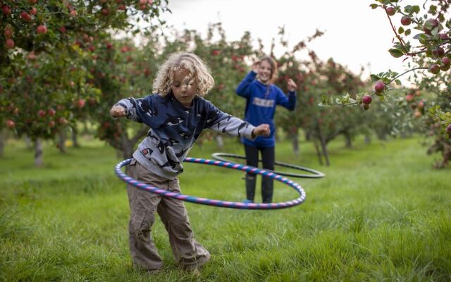 Dragon Orchard Retreat