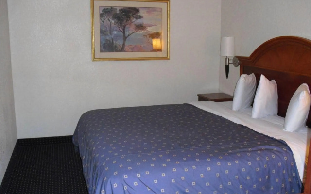 Homegate Studios & Suites San Antonio Medical Center