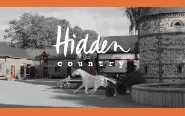 Hidden Country