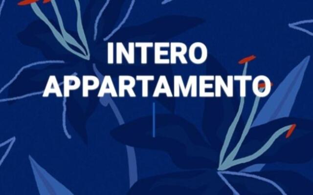 Retro Art house