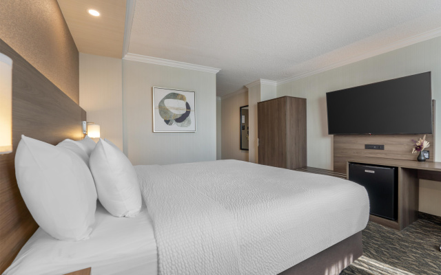 Best Western Plus Carlton Plaza Hotel