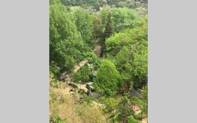 23 Avenue I. Chavchavadze
