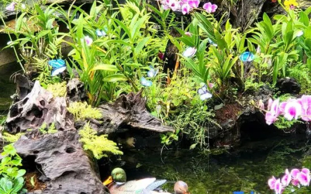 Sakura Mura Homestay Phu Quoc – Outside – Phu Quoc