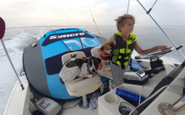 Casa Newmark Holiday home 7 BestStayz.1