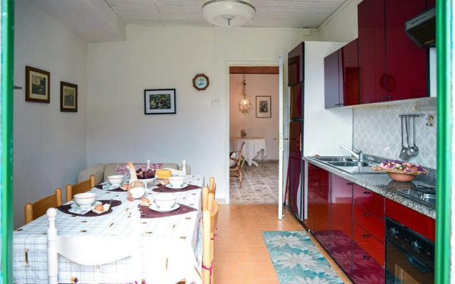 Easy Welcome Salvia - Cartolari County Apartments