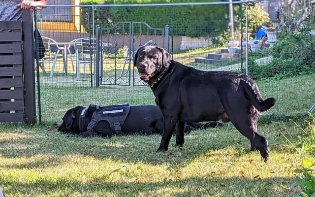 Pension Alba - Vacation STAY 70965v