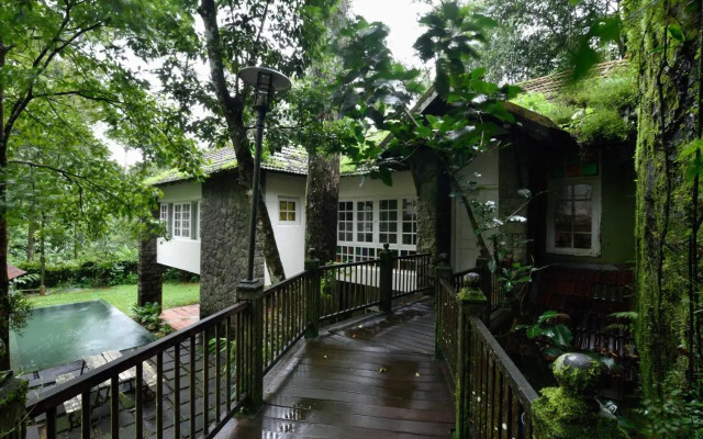 Mystic Mayapott Thekkady