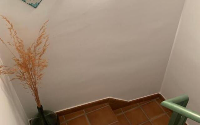 Apartamento Plaza del Navarro
