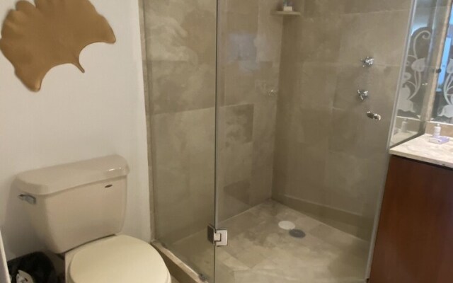 Cozy Stlish Rooms in Polanco