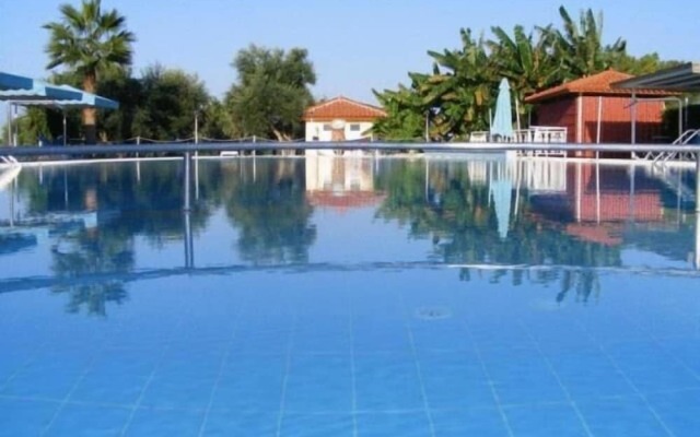 Lintzi