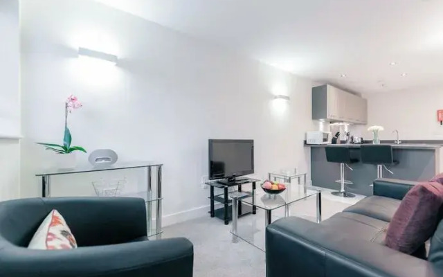 Roomspace Apartments -New Manor House