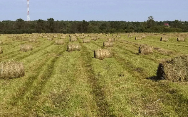 Усадьба Красивая