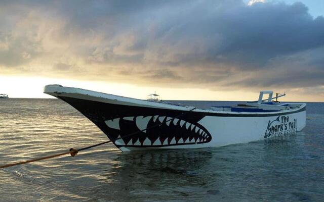 The Sharks Tail Dive Center