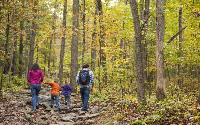 Hampton Inn by Hilton Harrisburg West