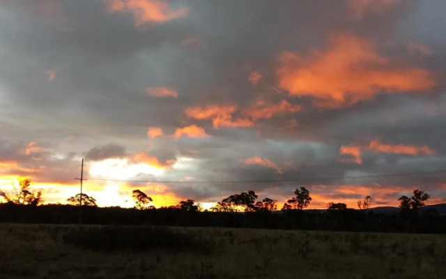 Twodogfolly at Creeklands