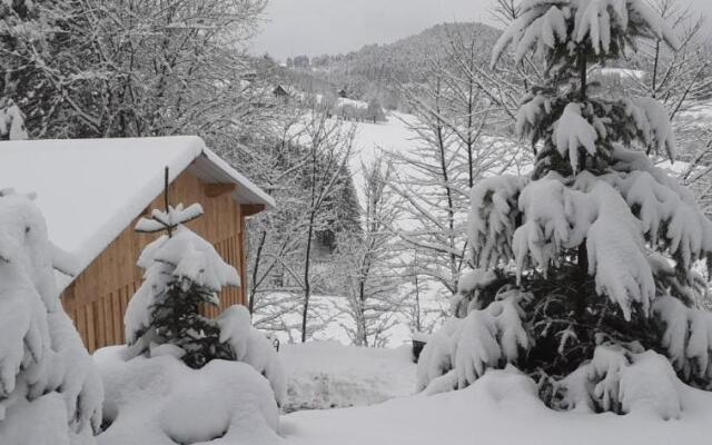 Nordiques De La Welche