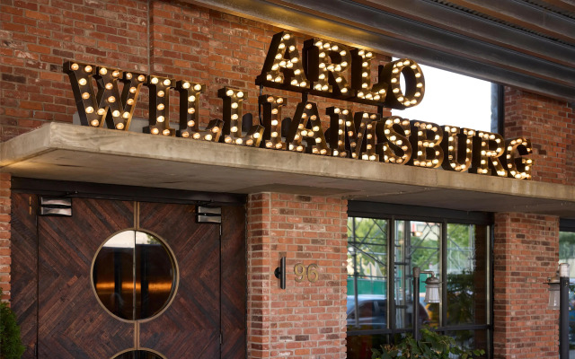 Arlo Williamsburg