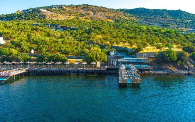 Assos Dionysos Hotel Special Class - Adults Only