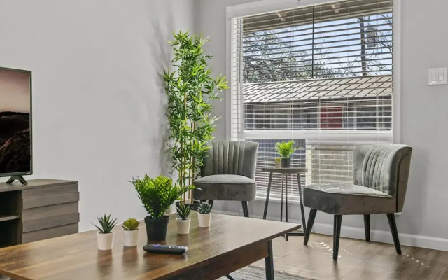 Stylish 1BR Zilker Evonify