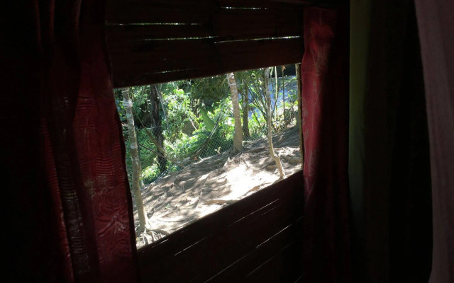 Rain Forest Inn