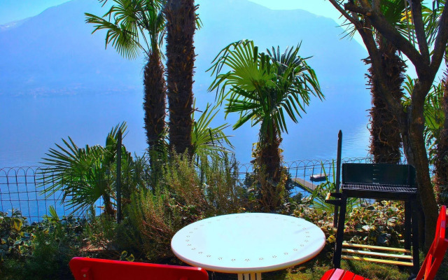 Palm Bay Garden
