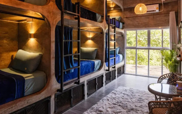 Wonderland Jungle Hostel
