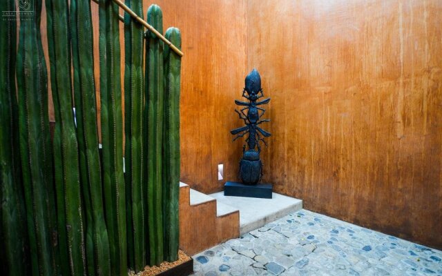 Casa Carmen Morelos