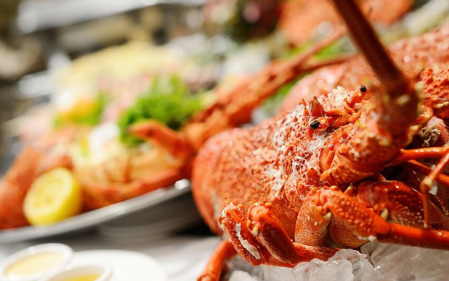 Wavecrest Village & Tourist Park