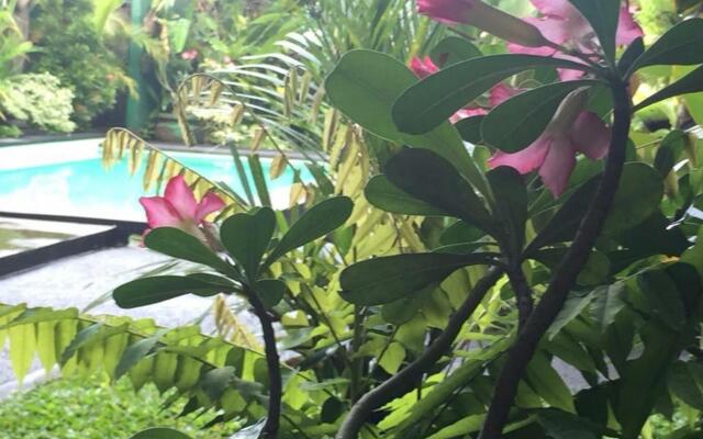 Secret Garden Guest House
