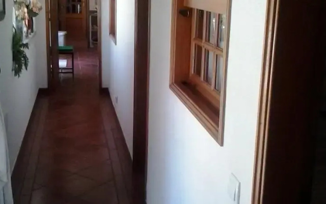 Living Verdizela