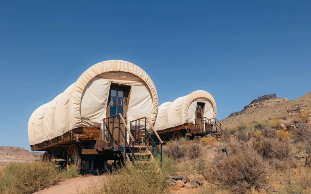 Zion Wildflower, BW Premier Collection