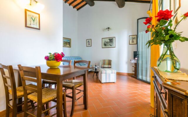 Giuggiolo - Giuggiolo 3