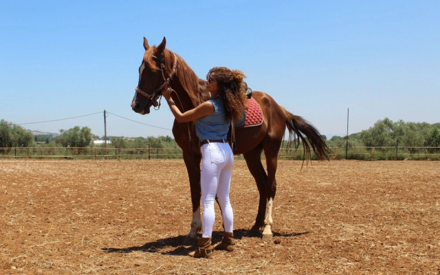 The Ranch - Lodge & Equestrian Center