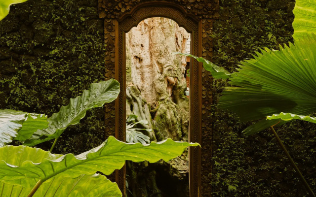 Lost Lindenberg