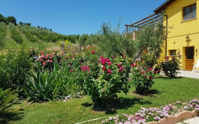 Agriturismo la Stradaccia