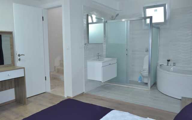 New Age Villa Lilya Hisar