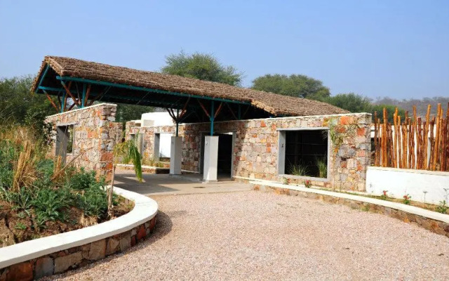 Trees N Tiger Sariska