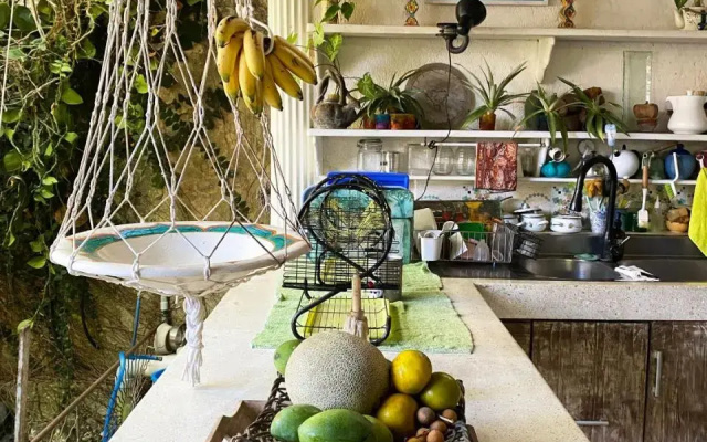 Shady Grove Healing Centre and Homestay
