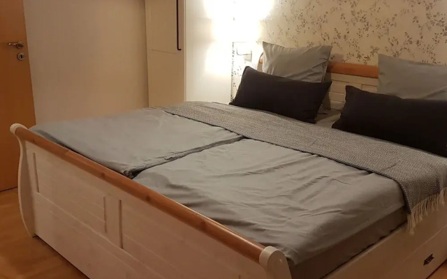 Luxurious Farmhouse Near the ski Area