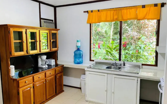 The Maya Mountain Lodge