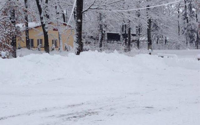 Forest Mirage Pension